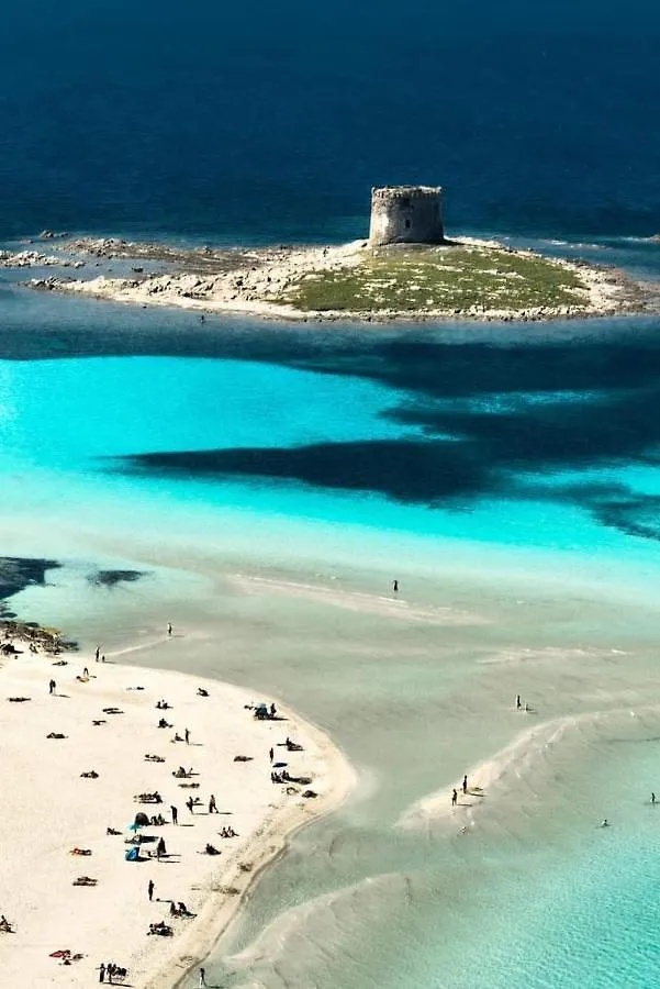 casetta sul porticciolo Stintino Italia
